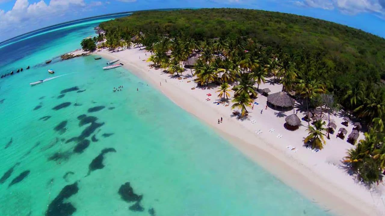 Punta Cana: Ostrov Saona Celodenní s bufetem a vyzvednutím — Guided tour and outdoor activity