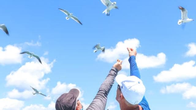 Z Punta Cana: Výlet na ostrov Saona motorovým člunem s obědem — Guided tour and outdoor activity